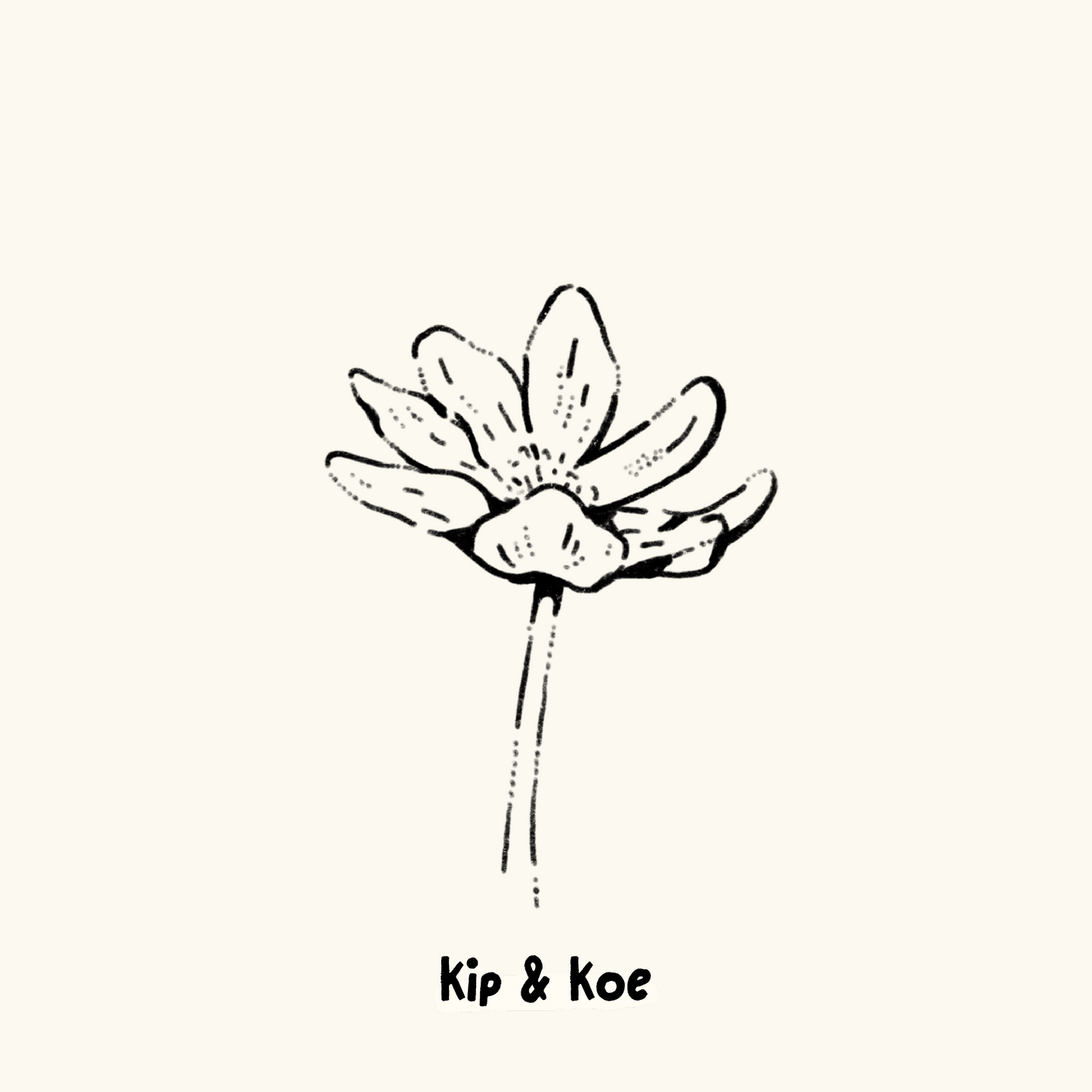 Bitterroot Flower