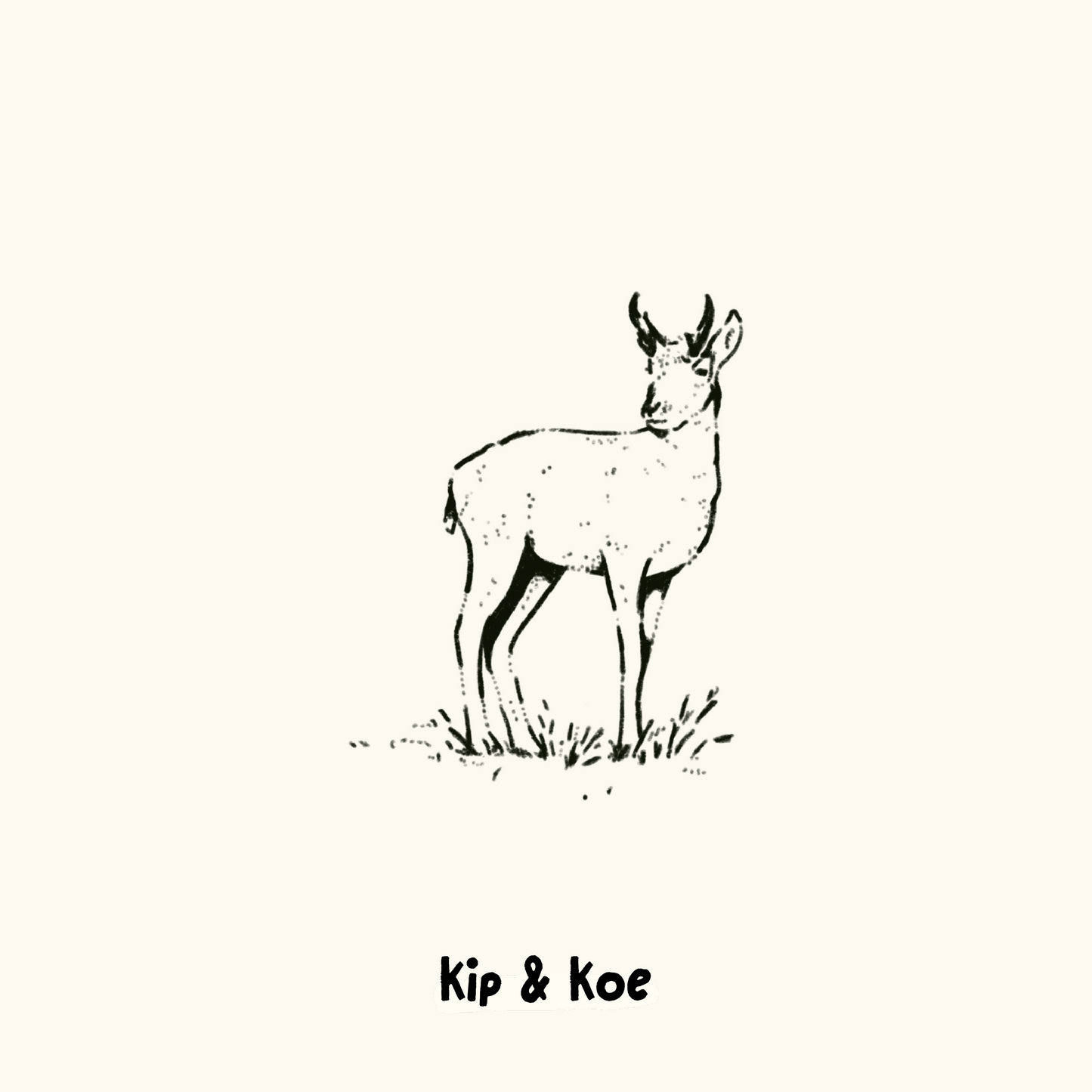 Pronghorn