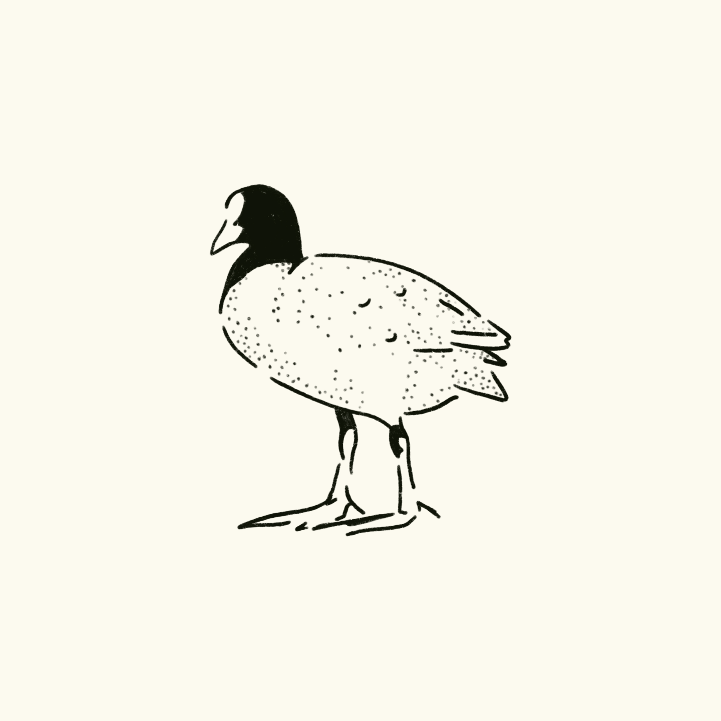 Coot Tattoo Ticket