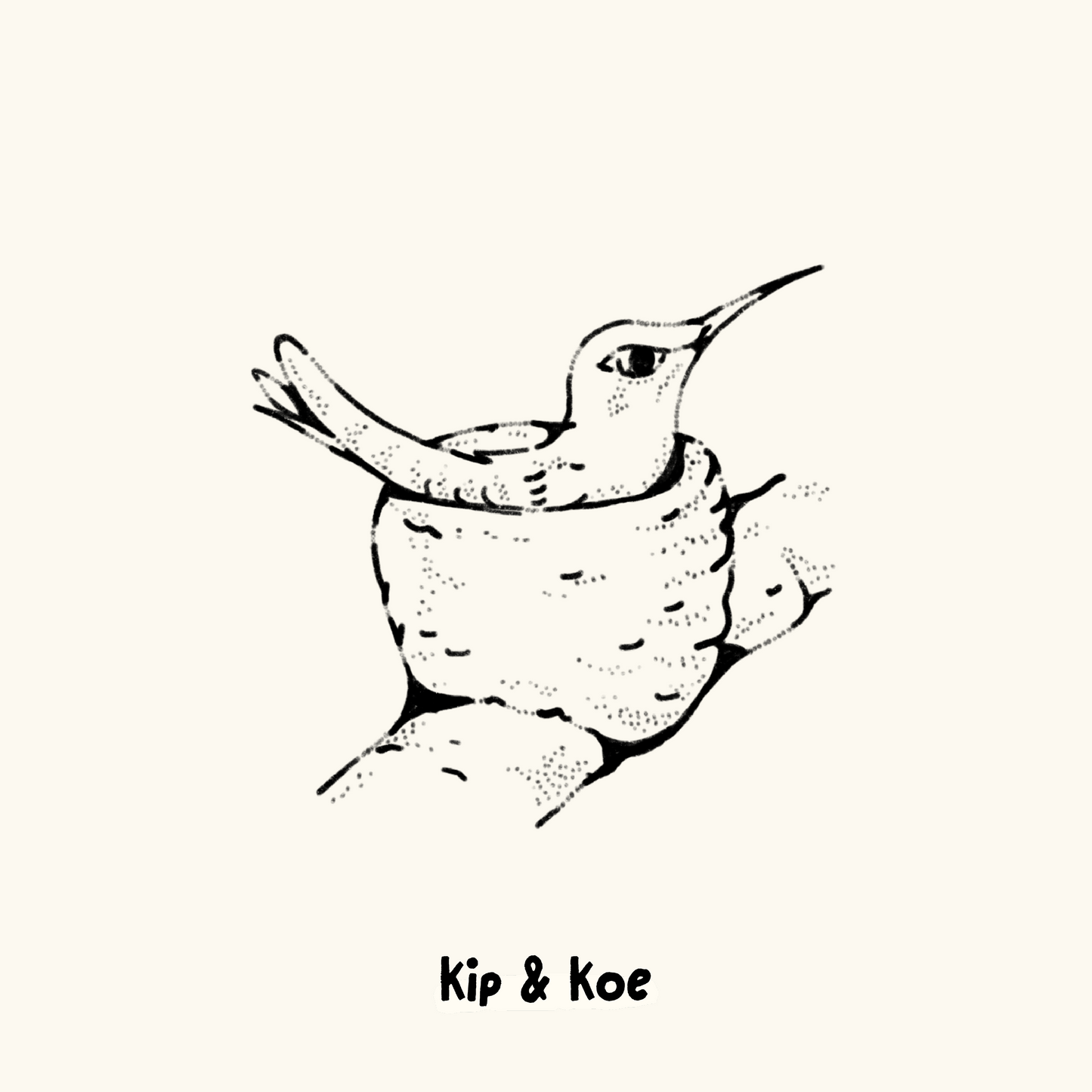 Hummingbird in Nest