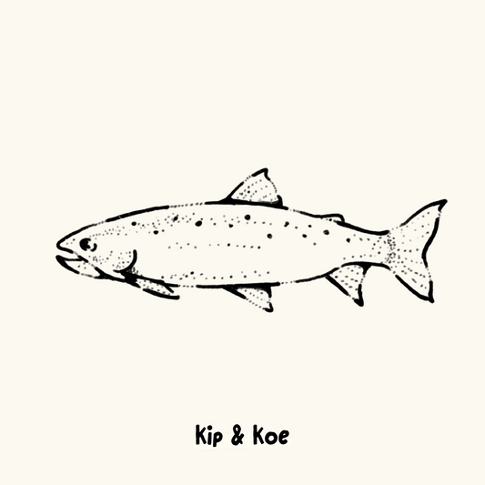 Rainbow Trout