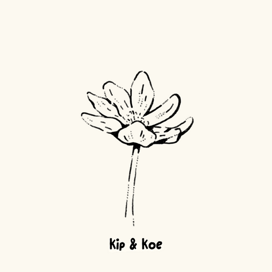 Bitterroot Flower