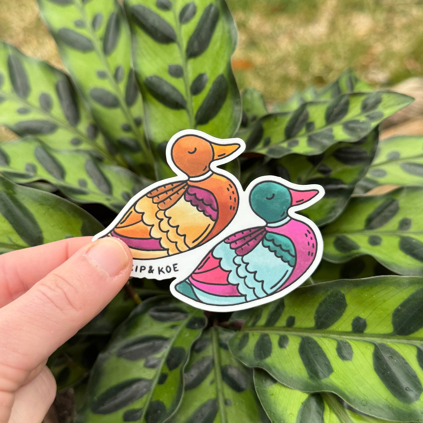 Fall Ducks Sticker