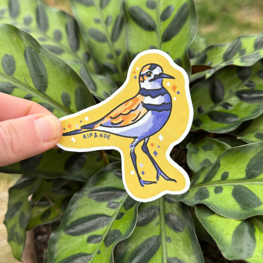 Killdeer Sticker