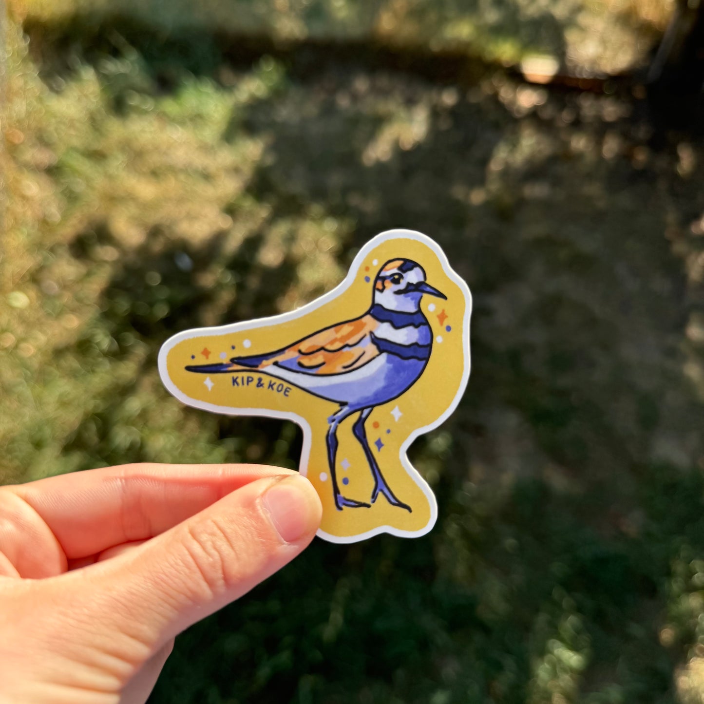 Killdeer Sticker