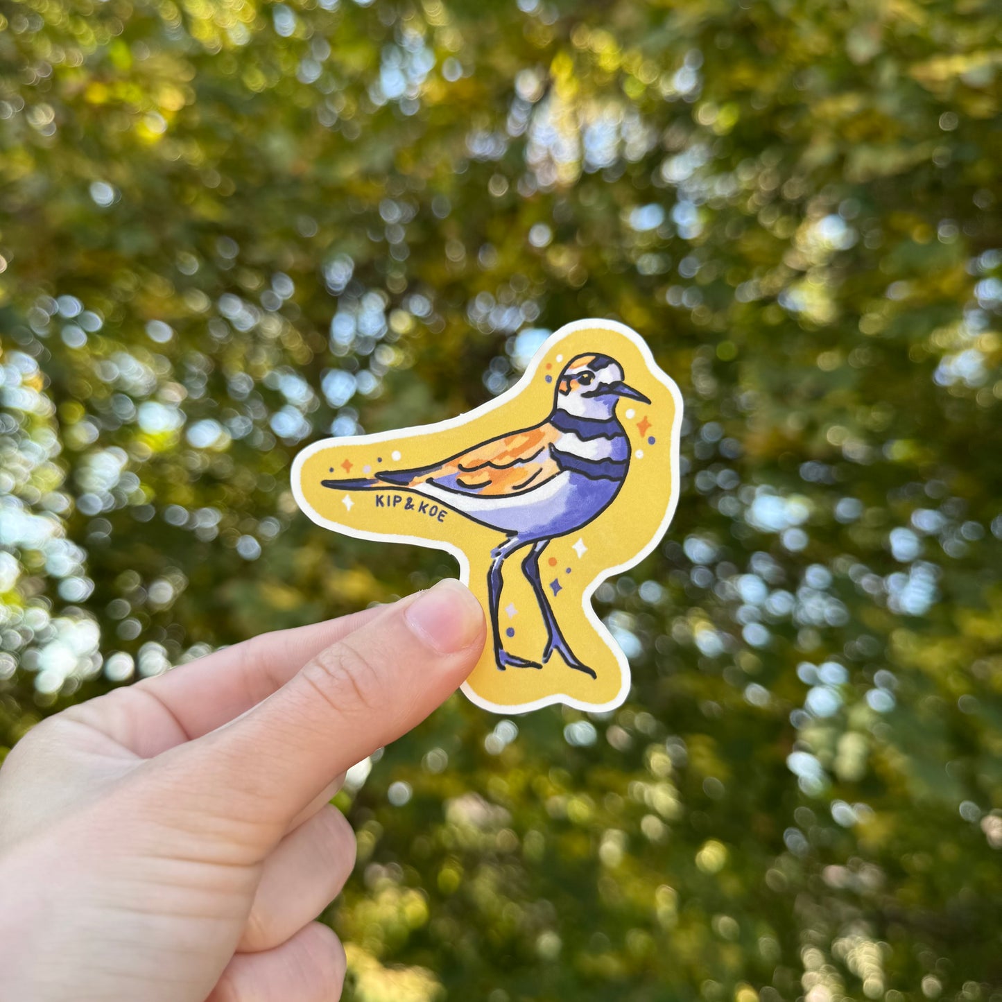 Killdeer Sticker