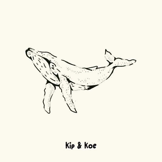 Humpback Whale