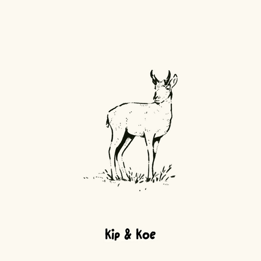 Pronghorn