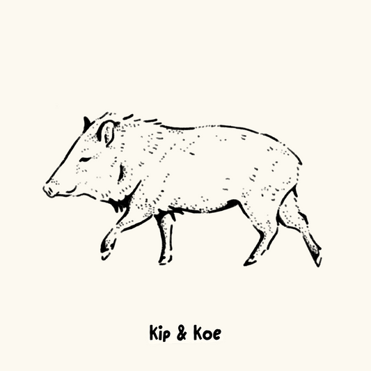 Javelina