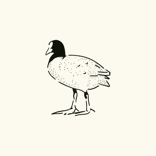 Coot Tattoo Ticket