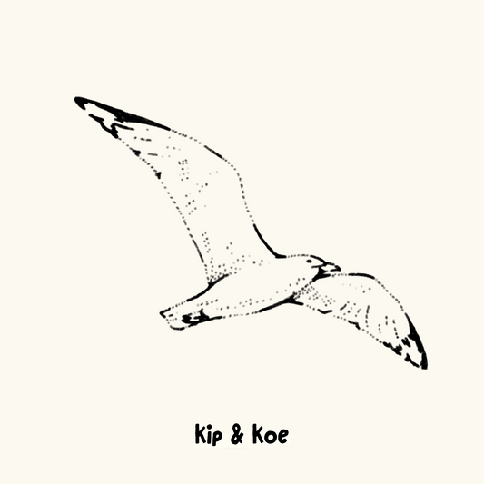 Seagull