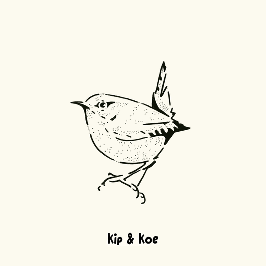Pacific Wren