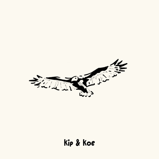 Turkey Vulture